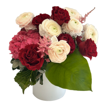 Load image into Gallery viewer, Alexander