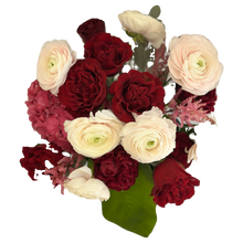 Load image into Gallery viewer, Alexander