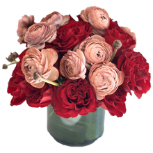 Load image into Gallery viewer, Red velvet & cappuccino