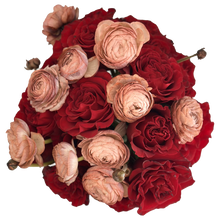 Load image into Gallery viewer, Red velvet & cappuccino