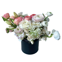 Load image into Gallery viewer, BASHFUL