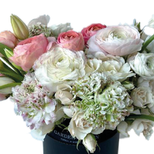 Load image into Gallery viewer, BASHFUL