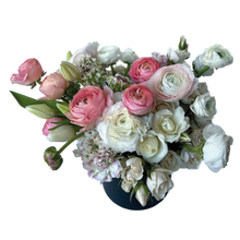 Load image into Gallery viewer, BASHFUL