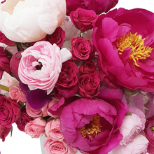 Load image into Gallery viewer, BURGUNDY OR BUST