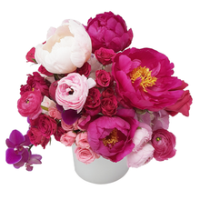 Load image into Gallery viewer, BURGUNDY OR BUST