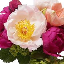 Load image into Gallery viewer, BUSTING LOOSE