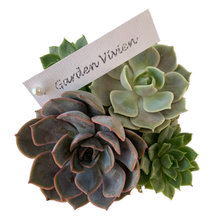 Load image into Gallery viewer, CUTE TOO