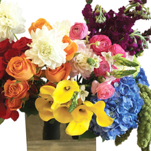 Load image into Gallery viewer, EARLY FALL COLOR BLAST