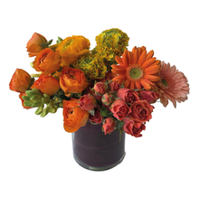 Load image into Gallery viewer, FANTA