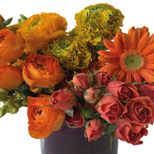 Load image into Gallery viewer, FANTA