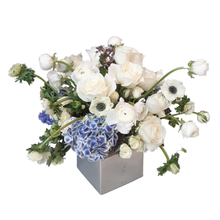 Load image into Gallery viewer, GRACEFUL ANEMONE
