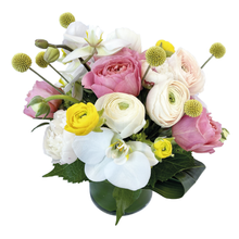 Load image into Gallery viewer, HONEYBEE