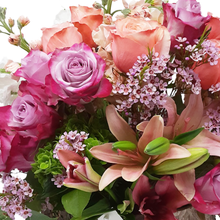 Load image into Gallery viewer, K-POP