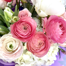 Load image into Gallery viewer, MILANO