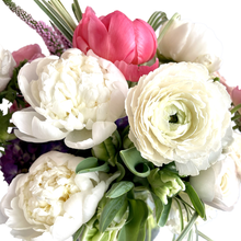 Load image into Gallery viewer, MILANO