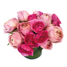 Load image into Gallery viewer, MISS DIOR