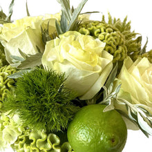 Load image into Gallery viewer, MOJITO