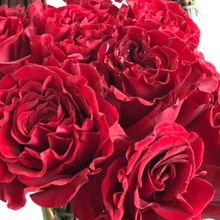 Load image into Gallery viewer, MYHEARTISONFIRE