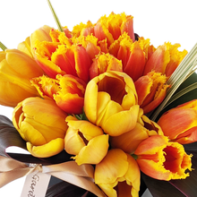 Load image into Gallery viewer, ORANGE FUSION