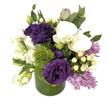 Load image into Gallery viewer, PASTEL