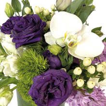 Load image into Gallery viewer, PASTEL