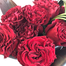 Load image into Gallery viewer, PETITEPASSION