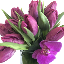 Load image into Gallery viewer, PINKANDPURPLEALLOVER