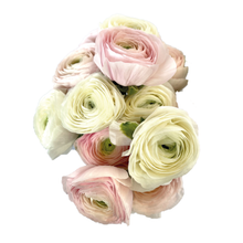 Load image into Gallery viewer, PINWHEEL