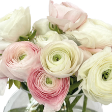 Load image into Gallery viewer, PINWHEEL