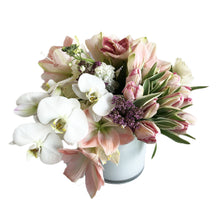 Load image into Gallery viewer, PREDOMINANTLYPEACH