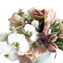 Load image into Gallery viewer, PREDOMINATLYPEACH