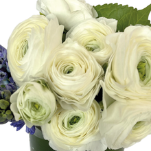 Load image into Gallery viewer, RANUNCULUS