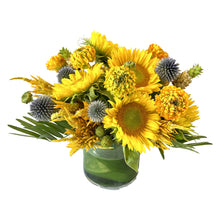 Load image into Gallery viewer, Rays of Sunshine