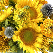 Load image into Gallery viewer, Rays of Sunshine