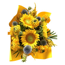 Load image into Gallery viewer, Rays of Sunshine