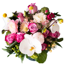 Load image into Gallery viewer, RISE AND SHINE