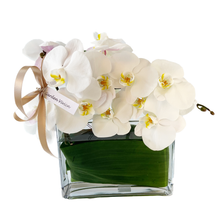 Load image into Gallery viewer, SHEER ELEGANCE