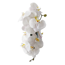 Load image into Gallery viewer, SHEER ELEGANCE