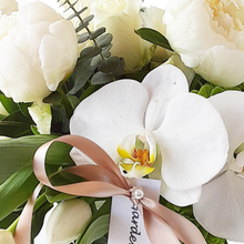 Load image into Gallery viewer, SNOW WHITE