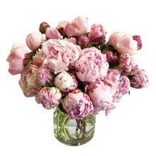 Load image into Gallery viewer, SOFT LOVE