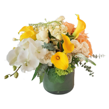 Load image into Gallery viewer, SPRING FLING