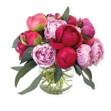 Load image into Gallery viewer, STRAWBERRIES AND CHERRIES