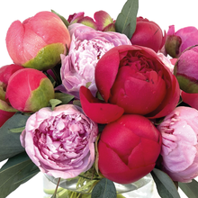 Load image into Gallery viewer, STRAWBERRIES AND CHERRIES