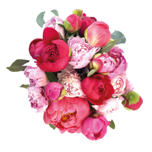 Load image into Gallery viewer, STRAWBERRIES AND CHERRIES