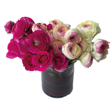 Load image into Gallery viewer, TIFFANY