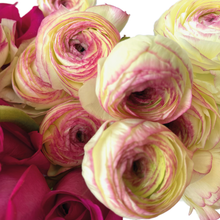 Load image into Gallery viewer, TIFFANY