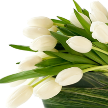 Load image into Gallery viewer, TULIPS GALORE