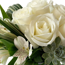 Load image into Gallery viewer, WHITE AND GREEN ALL OVER