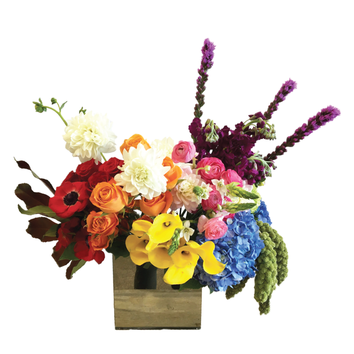 EARLY FALL COLOR BLAST